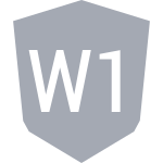 W100