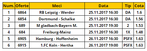 Bilet Bundesliga etapa 13 | Ti-am pregatit un bilet combinat, cu o cota de 15.00