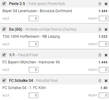 Bilet Germania etapa 14 | Pariem pe granzii din Bundesliga