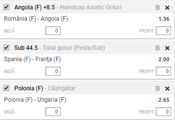Bilet CM Handbal 07.12.2017 | Romania, meci facil cu Angola!