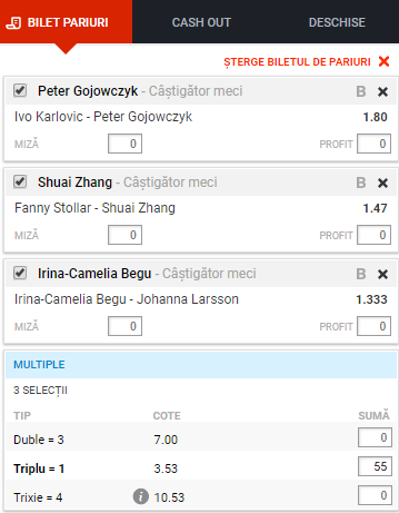 Cotă 3,53 la Biletul Zilei pe Tenis | Toată lumea se pregătește de Roland Garros!